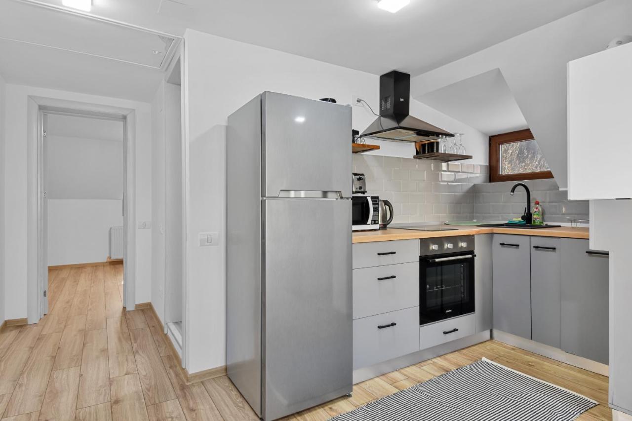 Two Bedrooms Hytta Apartment Sinaia Kültér fotó